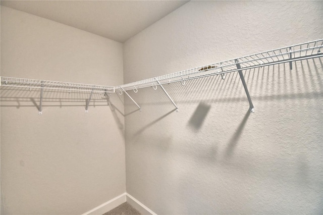 spacious closet with carpet floors