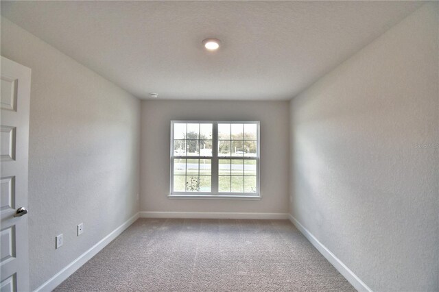 carpeted spare room featuring baseboards and a textured wall