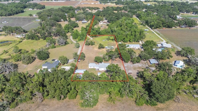 4020 Mcintosh Rd, Dover, FL 33527 - photo 3