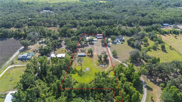4020 Mcintosh Rd, Dover, FL 33527 - photo 43