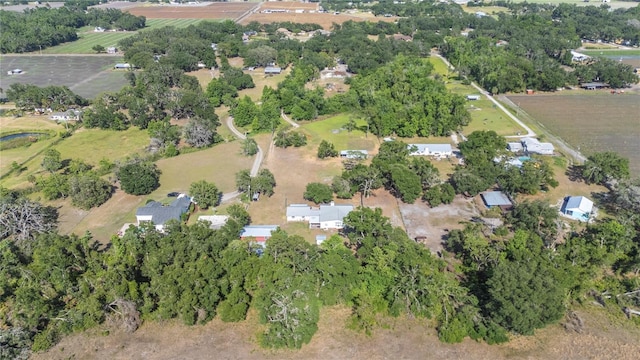 4020 Mcintosh Rd, Dover, FL 33527 - photo 47