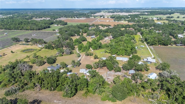 4020 Mcintosh Rd, Dover, FL 33527 - photo 48