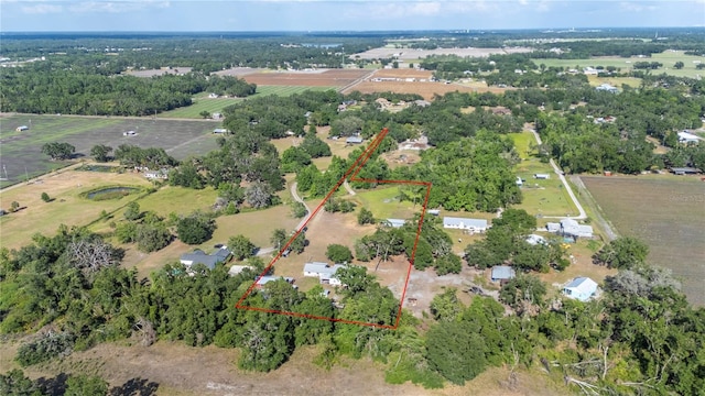 4020 Mcintosh Rd, Dover, FL 33527 - photo 49