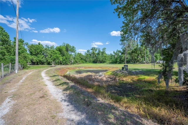 4020 Mcintosh Rd, Dover, FL 33527 - photo 53
