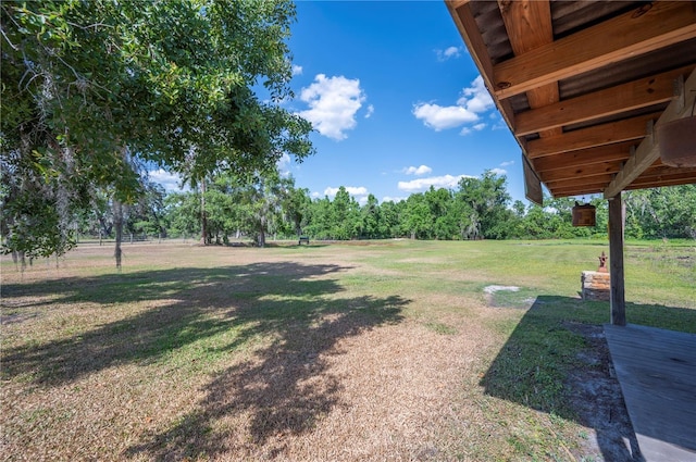 4020 Mcintosh Rd, Dover, FL 33527 - photo 58