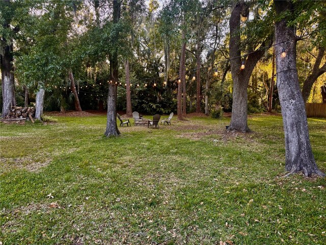 5619 Antler Trl, Lakeland, FL 33811 - view of yard with a fire pit