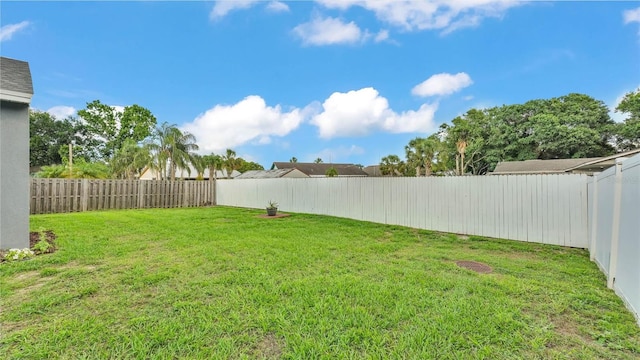 242 Kings Pond Ave SW, Winter Haven, FL 33880 - view of yard