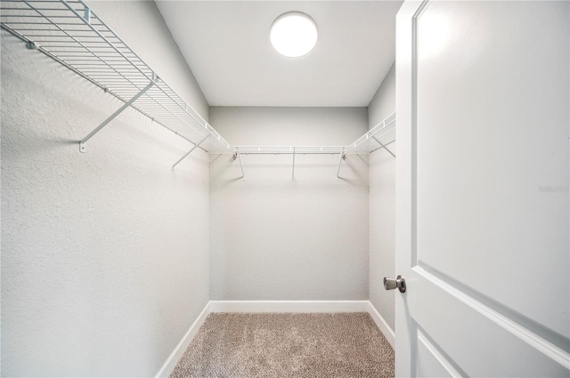 spacious closet with carpet