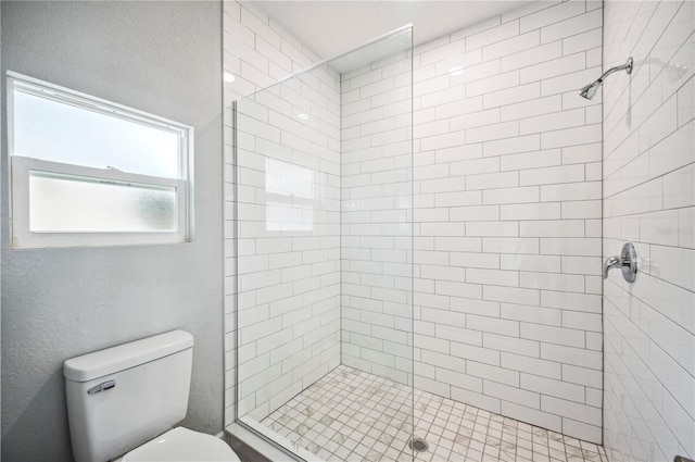 full bathroom featuring a shower stall and toilet