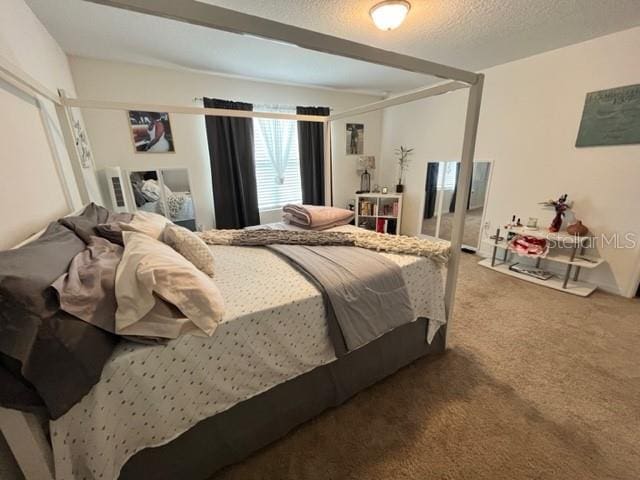 879 Grandin St, Davenport, FL 33837 - view of carpeted bedroom
