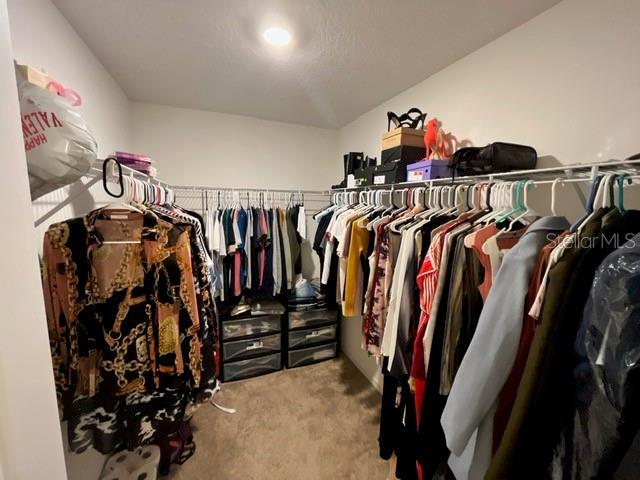 879 Grandin St, Davenport, FL 33837 - walk in closet with carpet