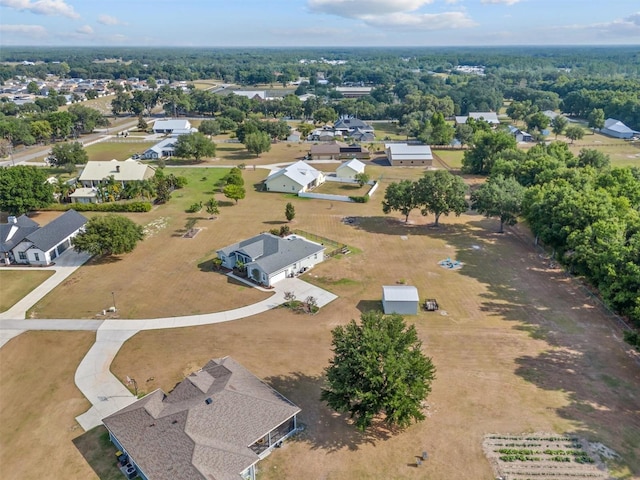 8909 N Campbell Rd, Lakeland, FL 33810 - aerial view of residential area