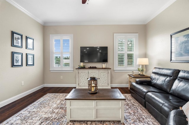 8909 N Campbell Rd, Lakeland, FL 33810 - living area featuring dark wood-style floors, ornamental molding, and ceiling fan