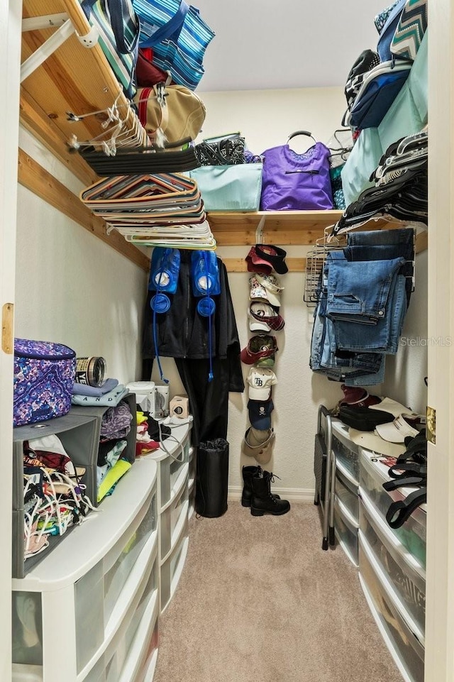 4041 Byrds Crossing Dr, Lakeland, FL 33812 - spacious closet featuring carpet flooring