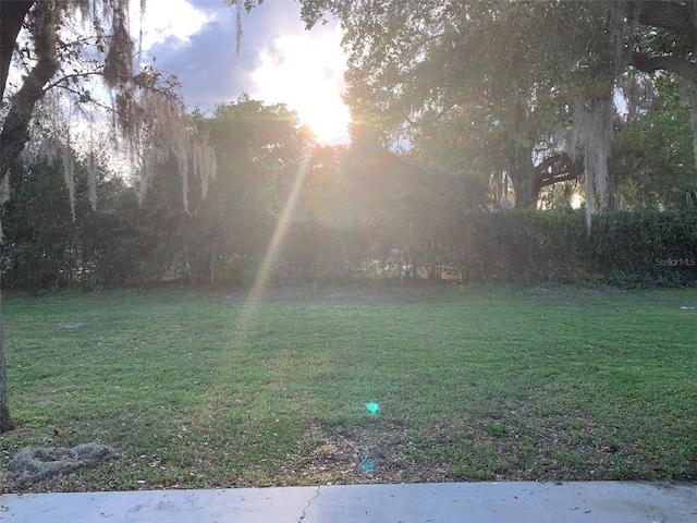 view of grassy yard