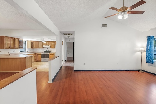 120 Bolender Rd, Auburndale, FL 33823 - kitchen with stainless steel electric stove, under cabinet range hood, a textured ceiling, a sink, and light wood finished floors