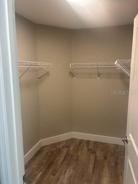 walk in closet featuring wood finished floors