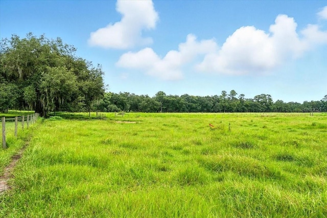 39410 Sparkman Rd, Dade City, FL 33525 - photo 3