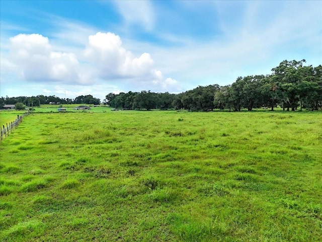 39410 Sparkman Rd, Dade City, FL 33525 - photo 4