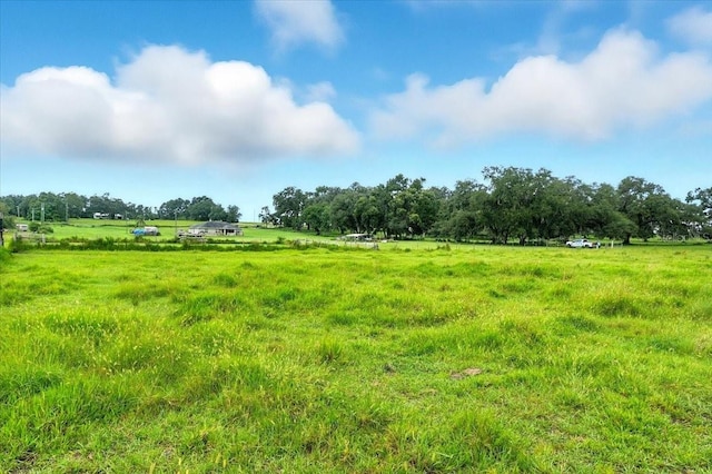 39410 Sparkman Rd, Dade City, FL 33525 - photo 5
