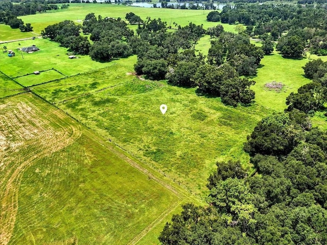 39410 Sparkman Rd, Dade City, FL 33525 - photo 9