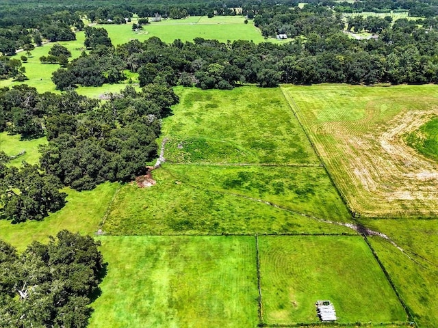 39410 Sparkman Rd, Dade City, FL 33525 - photo 15