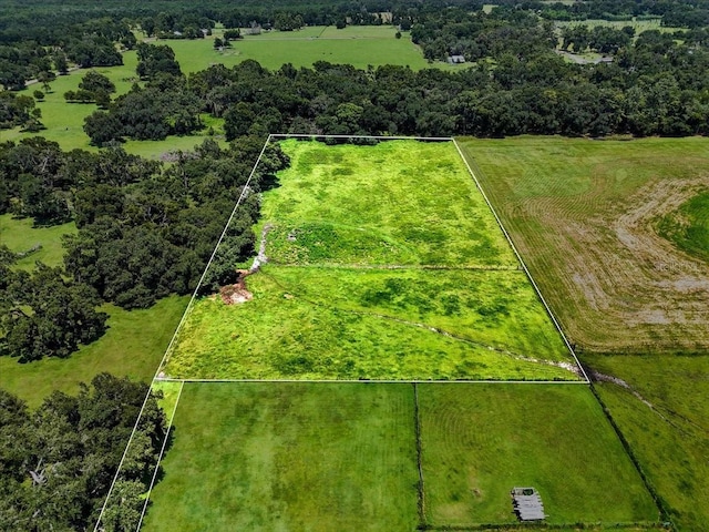 39410 Sparkman Rd, Dade City, FL 33525 - photo 16
