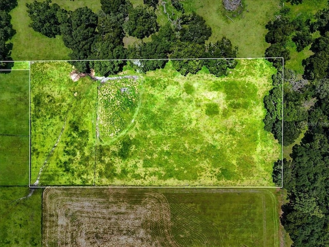 39410 Sparkman Rd, Dade City, FL 33525 - photo 22