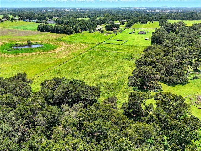 39410 Sparkman Rd, Dade City, FL 33525 - photo 23