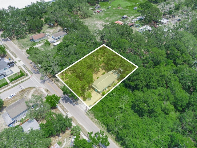 3205 N 66th St, Tampa, FL 33619 - photo 5