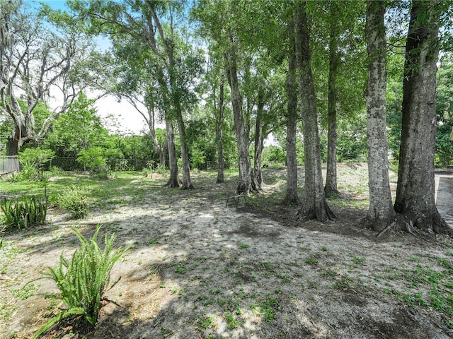 3205 N 66th St, Tampa, FL 33619 - photo 21