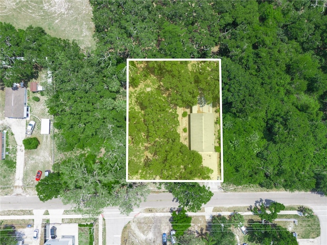 3205 N 66th St, Tampa, FL 33619 - photo 34