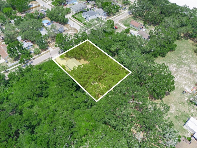 3205 N 66th St, Tampa, FL 33619 - photo 35