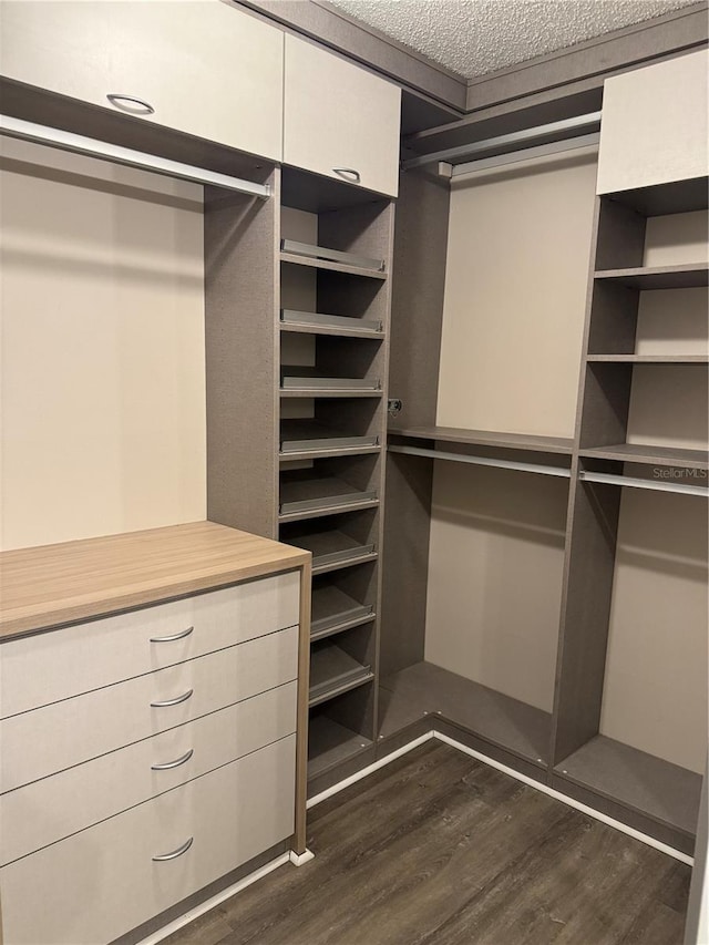 135 Wild Palm Dr, Bradenton, FL 34210 - spacious closet with dark wood-style floors