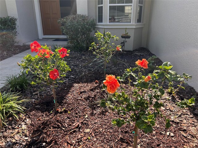 305 Woods Landing Dr, Lady Lake, FL 32159 - photo 30