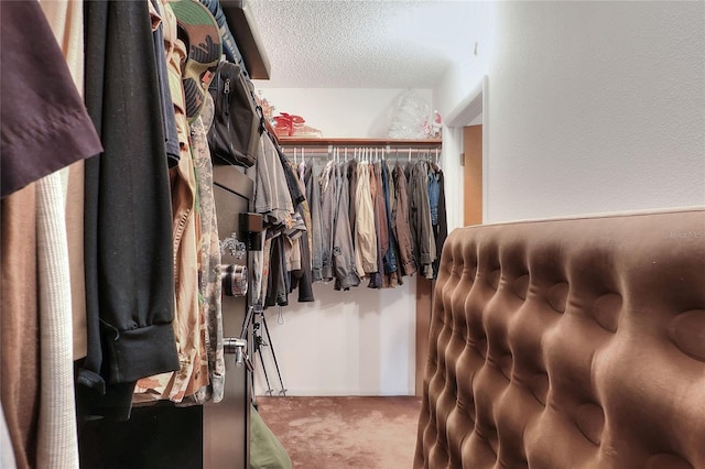 4404 Musket Dr, Lakeland, FL 33810 - walk in closet with carpet