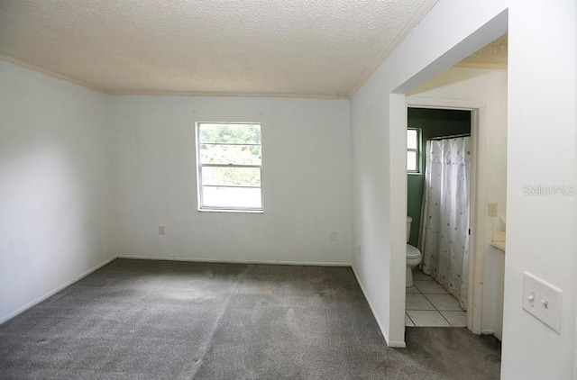 empty room featuring carpet flooring, crown molding, and a textured ceiling