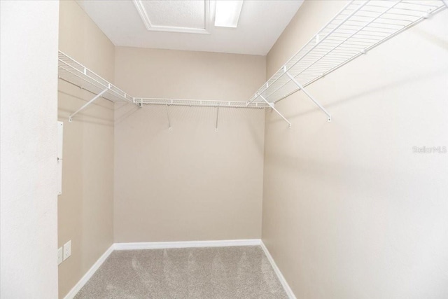 12654 Belcroft Dr, Riverview, FL 33579 - spacious closet featuring carpet