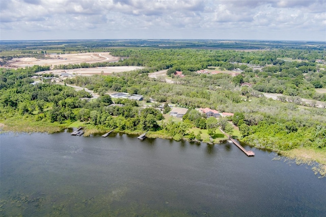 9093 S Bay Dr, Haines City, FL 33844 - photo 70
