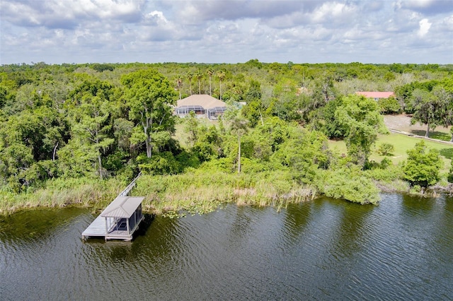 9093 S Bay Dr, Haines City, FL 33844 - photo 75
