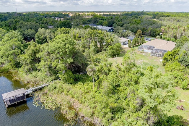 9093 S Bay Dr, Haines City, FL 33844 - photo 76
