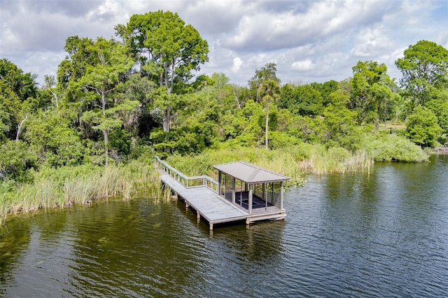 9093 S Bay Dr, Haines City, FL 33844 - photo 10