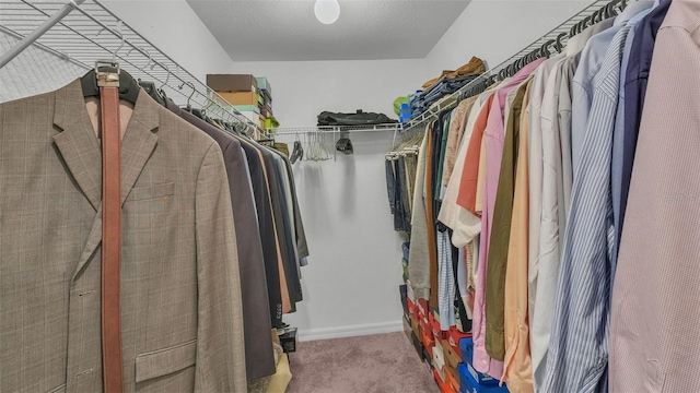 4582 Penkert Pl, Lakeland, FL 33811 - spacious closet with carpet flooring