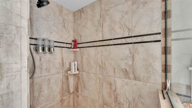 2912 Aston Ave, Plant City, FL 33566 - bathroom view of tiled shower