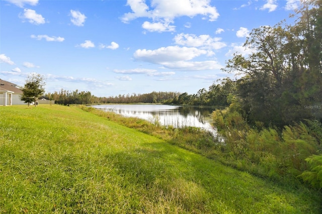 15354 Sweet Springs Bnd, Odessa, FL 33556 - water view