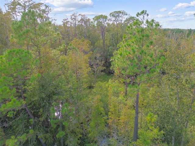 15354 Sweet Springs Bnd, Odessa, FL 33556 - view of woods