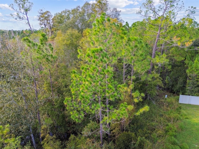 15354 Sweet Springs Bnd, Odessa, FL 33556 - view of woods