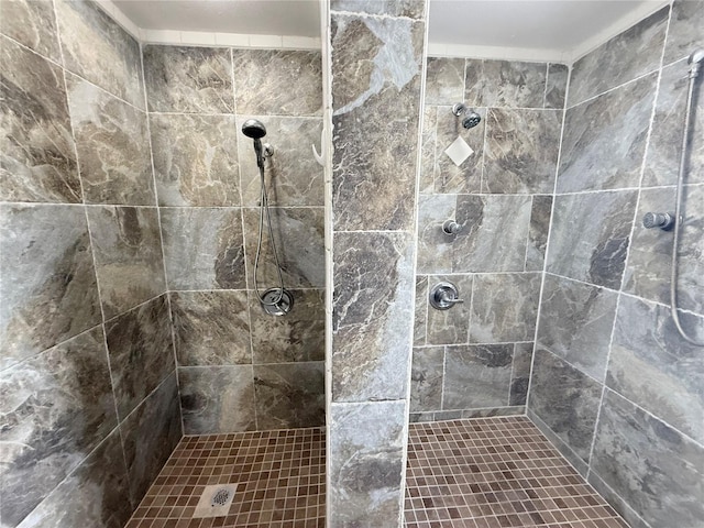 1328 Edgewater Beach Dr, Lakeland, FL 33805 - full bathroom with a tile shower