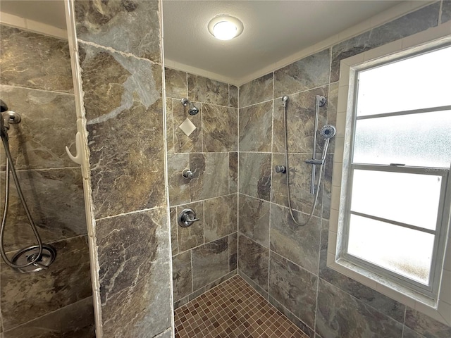 1328 Edgewater Beach Dr, Lakeland, FL 33805 - bathroom with tiled shower and healthy amount of natural light