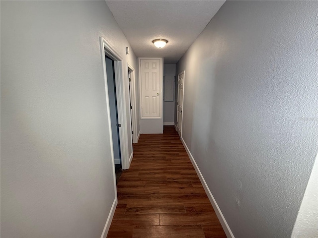 1328 Edgewater Beach Dr, Lakeland, FL 33805 - hall with baseboards, wood finished floors, and a textured wall